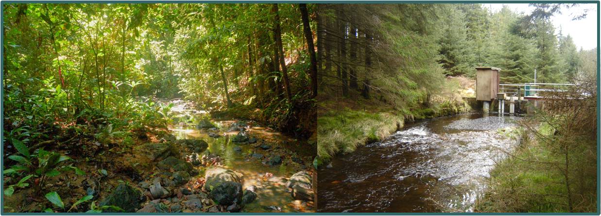 left: Baru rainforest watershed, Malaysian Borneo (photo: W. Tych Oct 2006) & right: Hafren plantation watershed, upland Wales (photo: D. Norris  Apr 2012